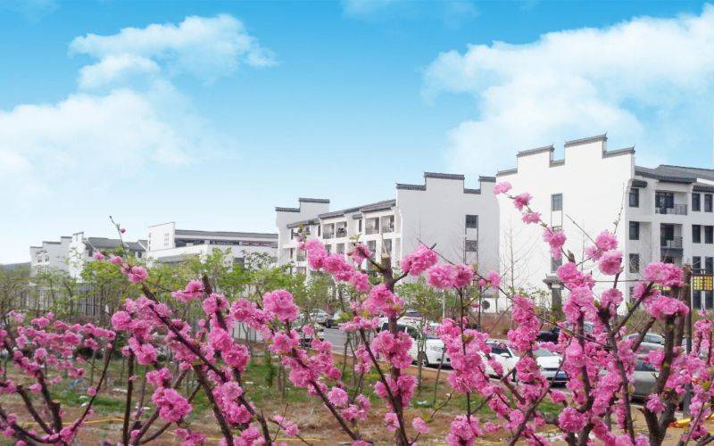 辽宁师范大学海华学院_校园风光_365电子游戏(中国)官方网站景色