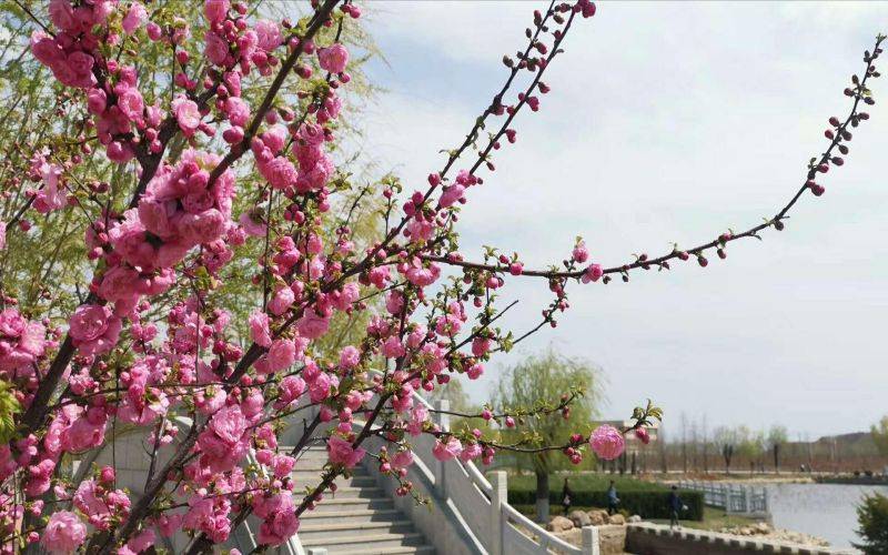 辽宁师范大学海华学院_校园风光_学校景色