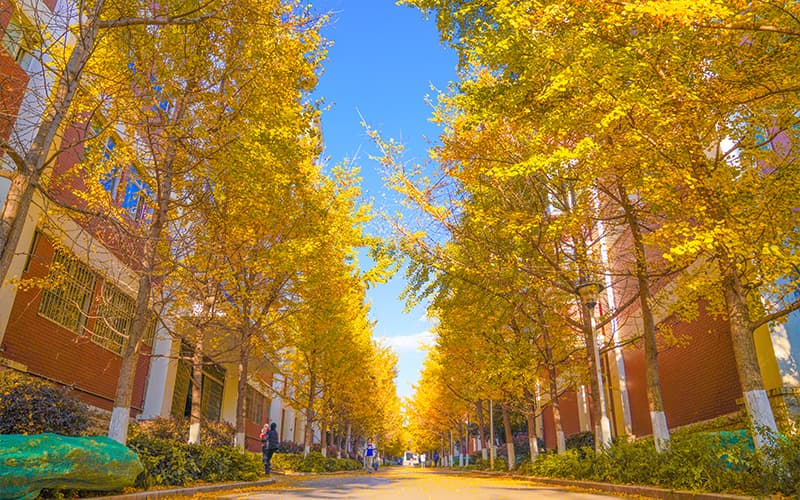 云南经济管理学院_校园风光_学校景色