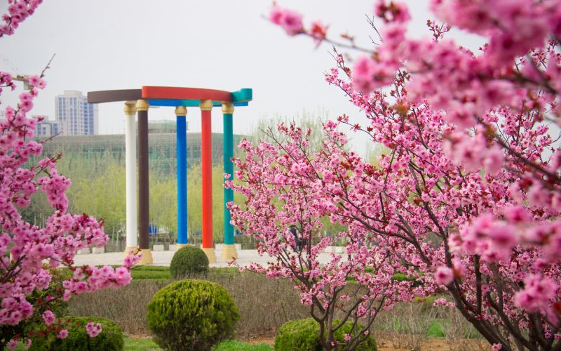 山东城市服务职业学院_校园风光_学校景色