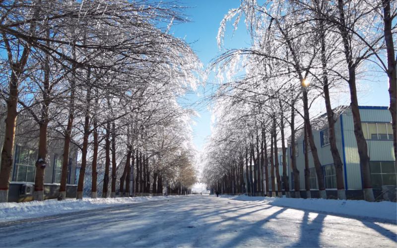 长春数字科技职业学院_校园风光_学校景色