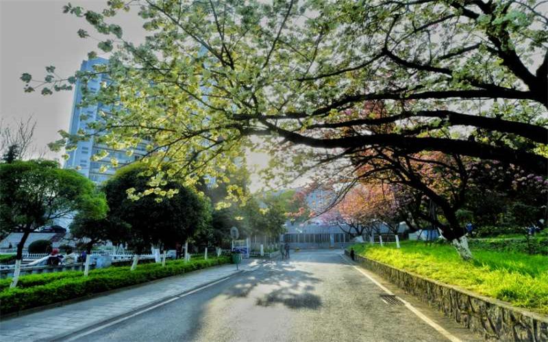 贵州生态能源职业学院_校园风光_学校景色