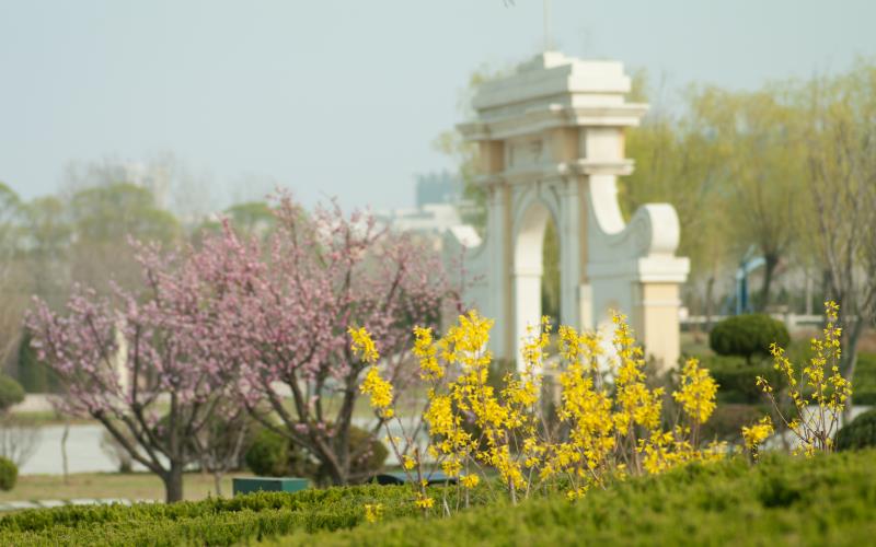 山东城市服务职业学院_校园风光_学校景色