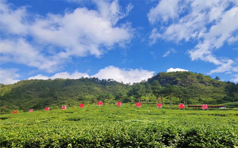 黔南民族职业技术学院_校园风光_学校景色