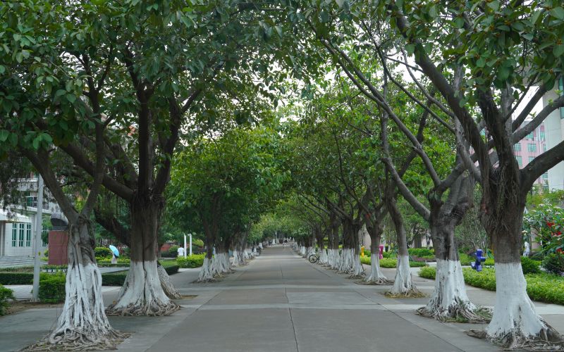 广东培正学院_校园风光_学校景色