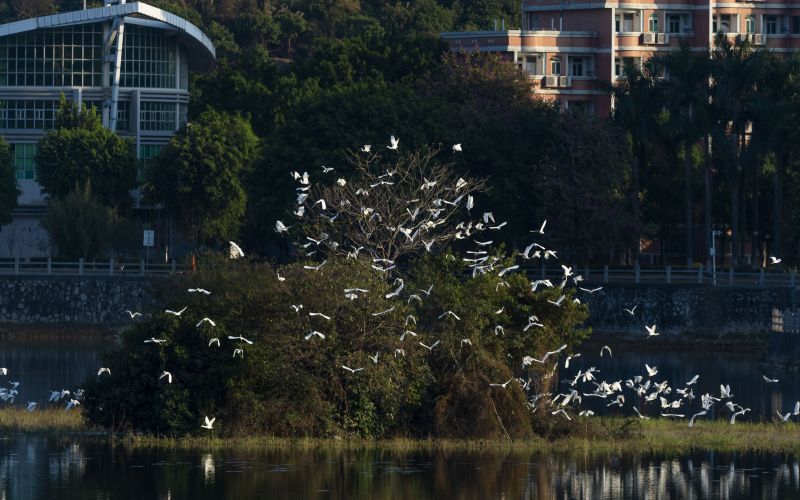 广东培正学院_校园风光_学校景色