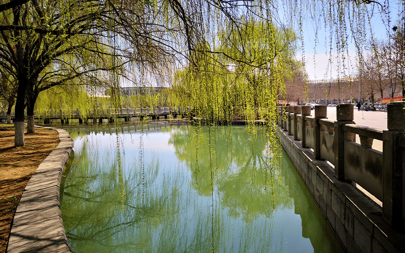 洛阳理工学院_校园风光_学校景色