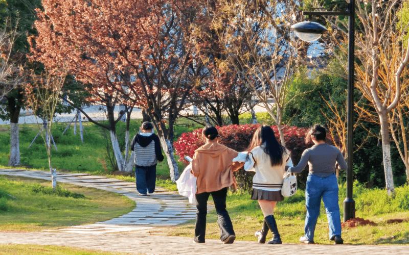 江西管理职业学院_校园风光_学校景色