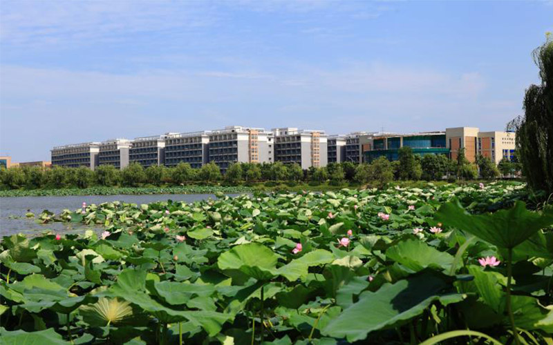 武汉科技大学_校园风光_学校景色