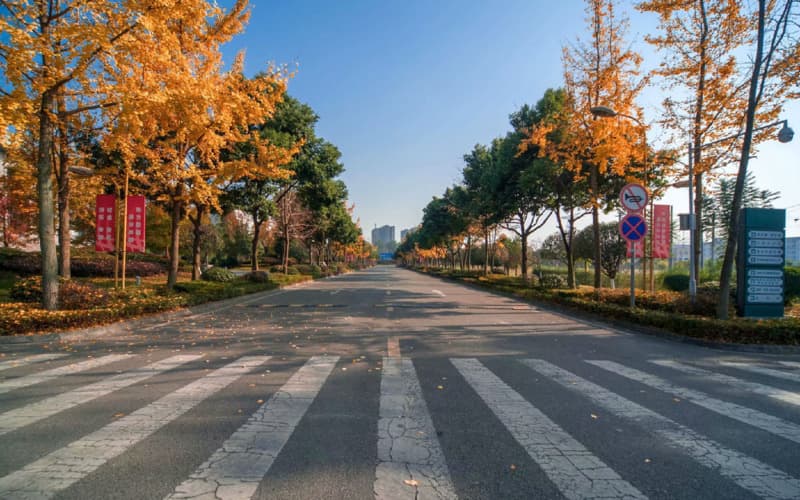 四川电力职业技术学院_校园风光_365电子游戏(中国)官方网站景色