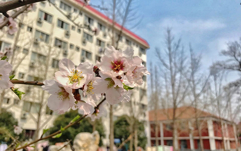 河南林业职业学院_校园风光_365电子游戏(中国)官方网站景色