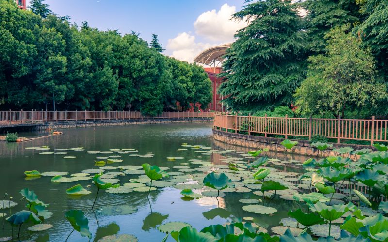 上海杉达学院_校园风光_学校景色