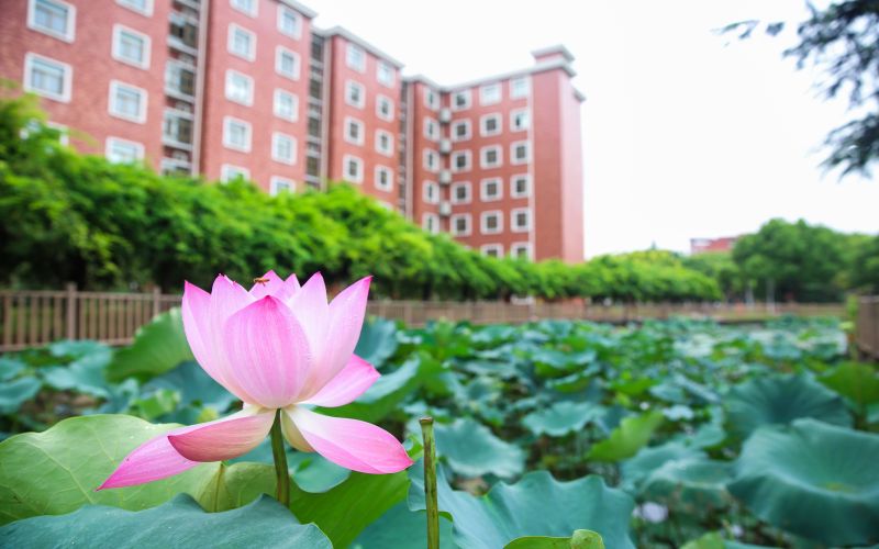 上海杉达学院_校园风光_学校景色