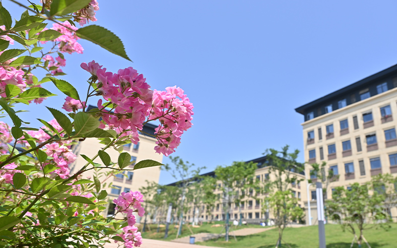 湖北工程职业学院_校园风光_学校景色