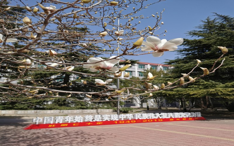 北京卫生职业学院_校园风光_365电子游戏(中国)官方网站景色