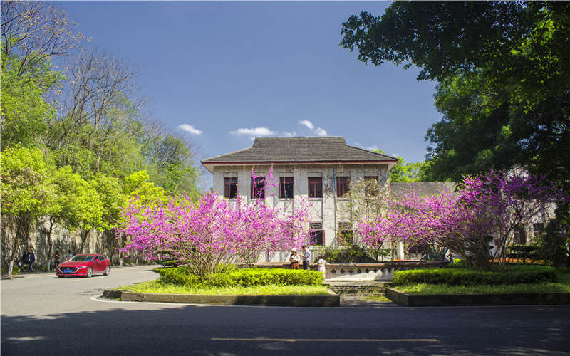 西南大学_校园风光_学校景色