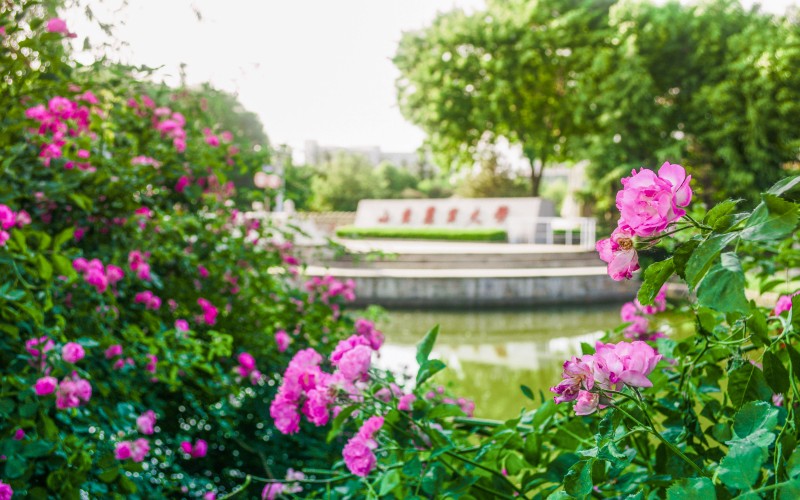 山东农业大学_校园风光_学校景色