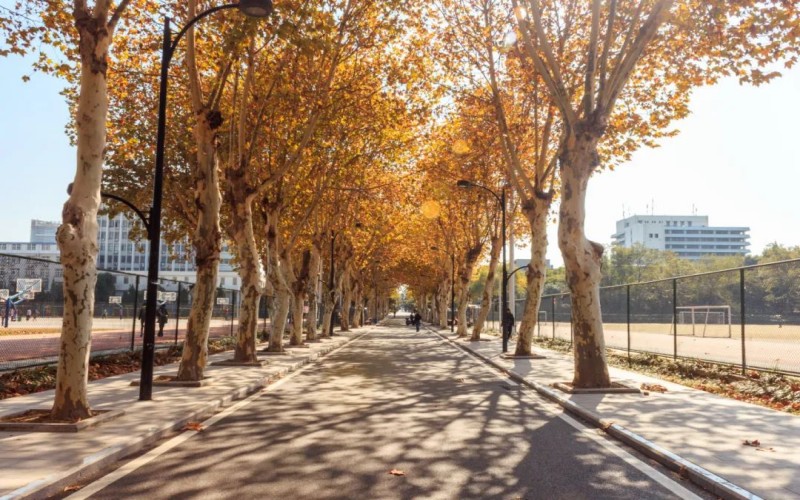 合肥工业大学_校园风光_学校景色