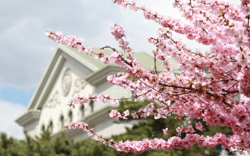 延边大学_校园风光_学校景色