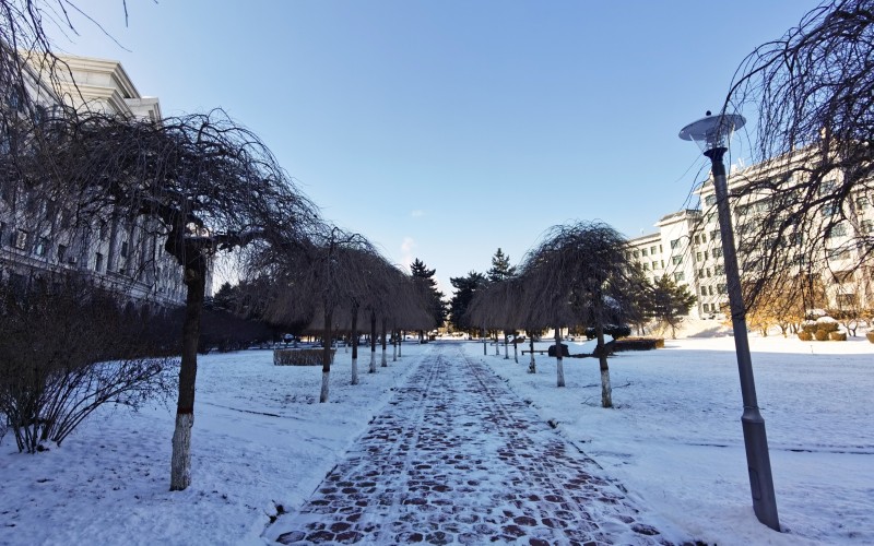 延边大学_校园风光_学校景色