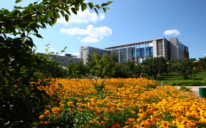 延边大学_校园风光_学校景色