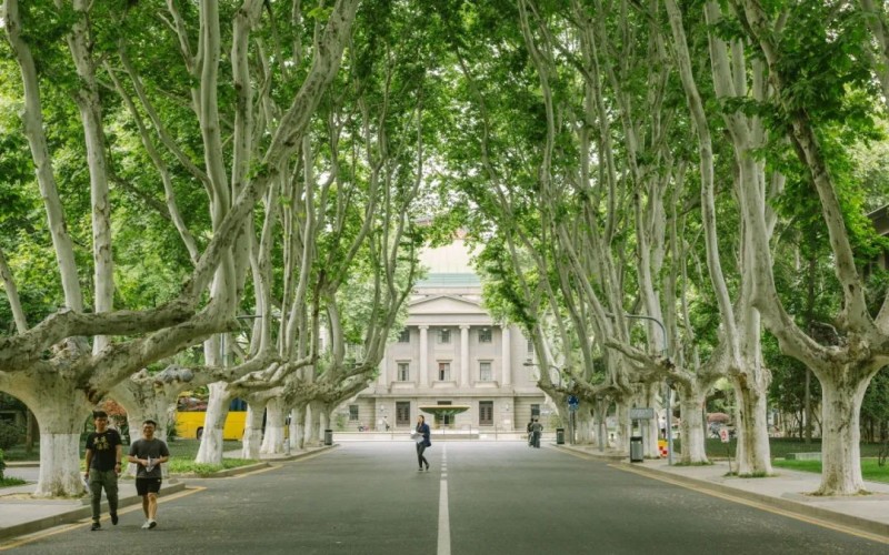 东南大学_校园风光_学校景色