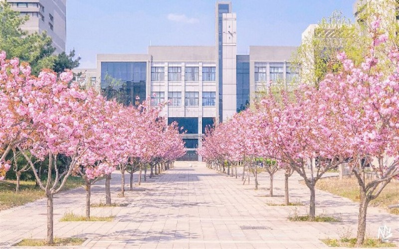 北京理工大学_校园风光_学校景色