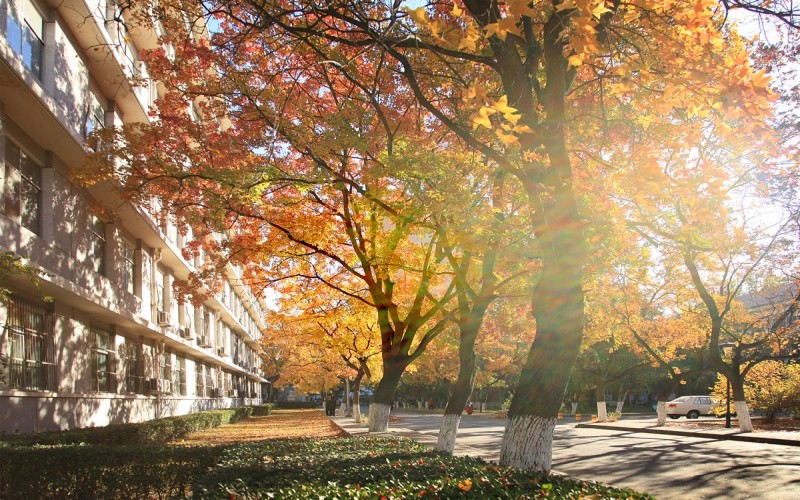 北京大学医学部_校园风光_学校景色