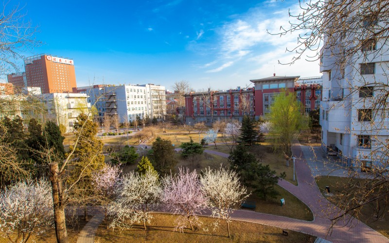 北京大学医学部_校园风光_学校景色