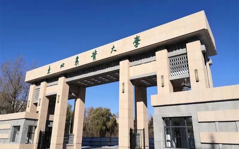 东北农业大学_校园风光_学校景色