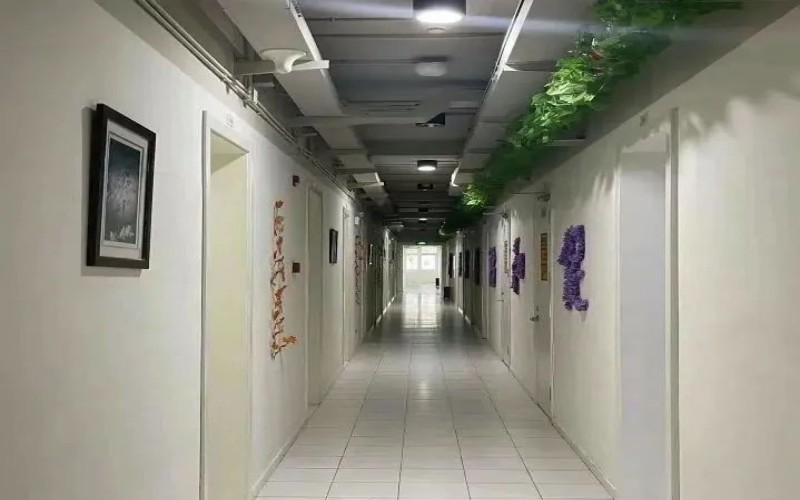 上海大学_校园风光_学校景色