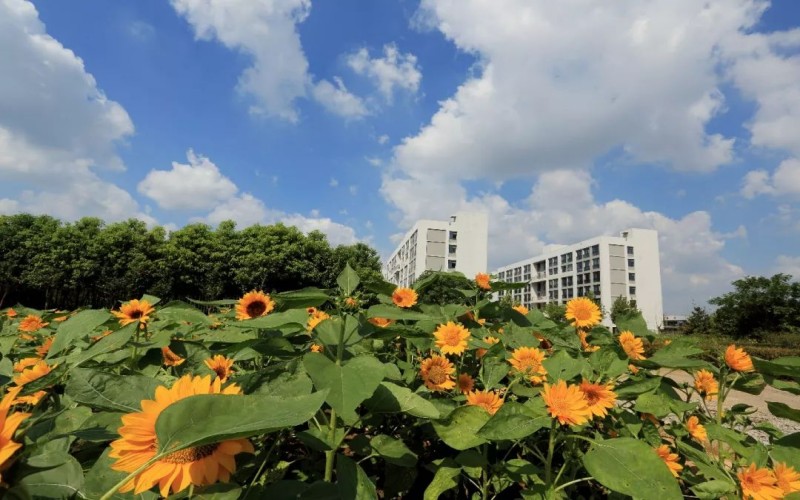 南京医科大学_校园风光_学校景色