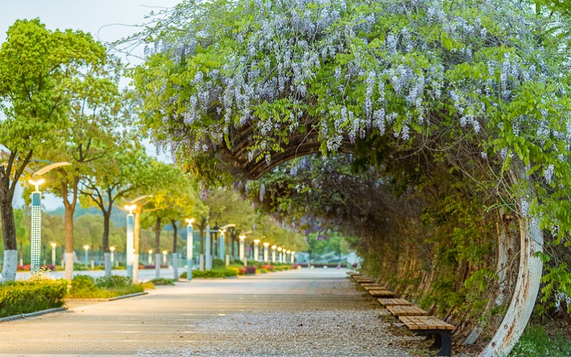 南京邮电大学_校园风光_学校景色