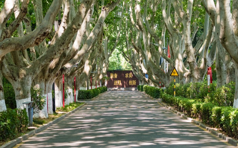 南京邮电大学_校园风光_学校景色