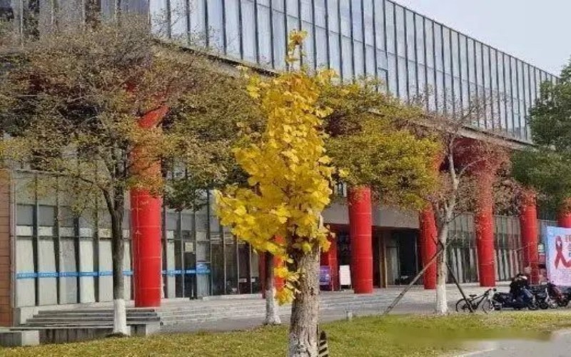 南京中医药大学_校园风光_学校景色