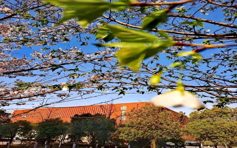 南京中医药大学_校园风光_学校景色