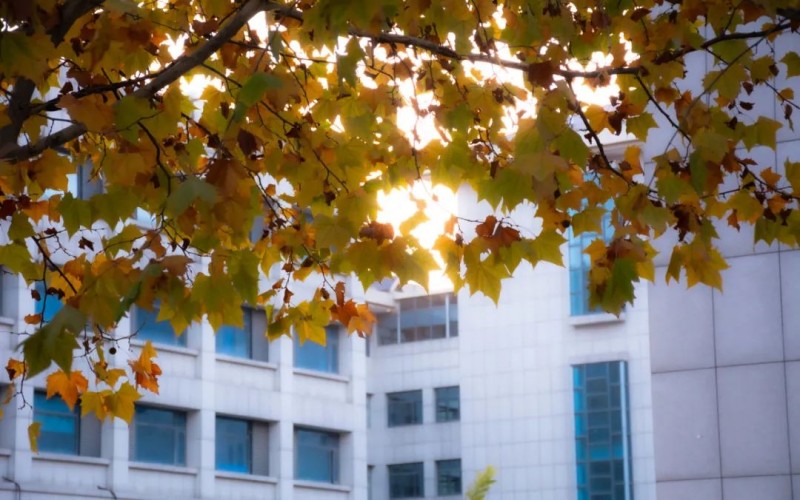 河南警察学院_校园风光_学校景色