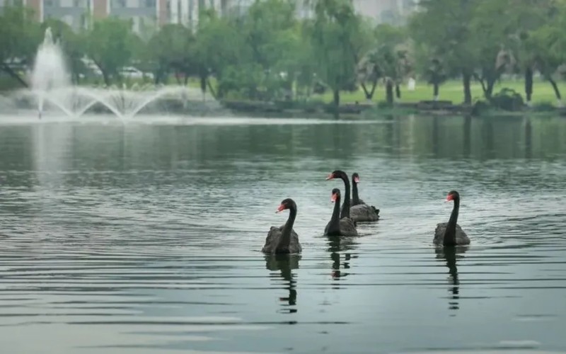 桂林电子科技大学_校园风光_学校景色