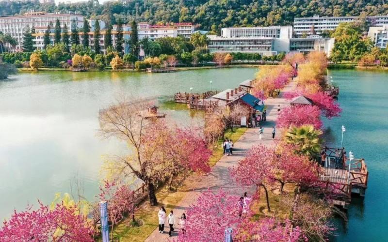 福建农林大学_校园风光_学校景色