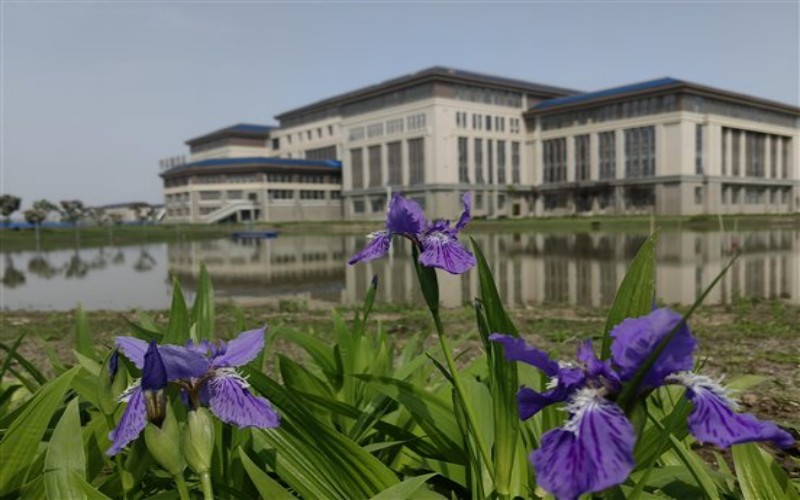 荆州学院_校园风光_学校景色