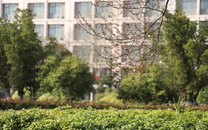 亳州职业技术学院_校园风光_学校景色