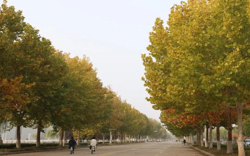 商丘师范学院_校园风光_学校景色