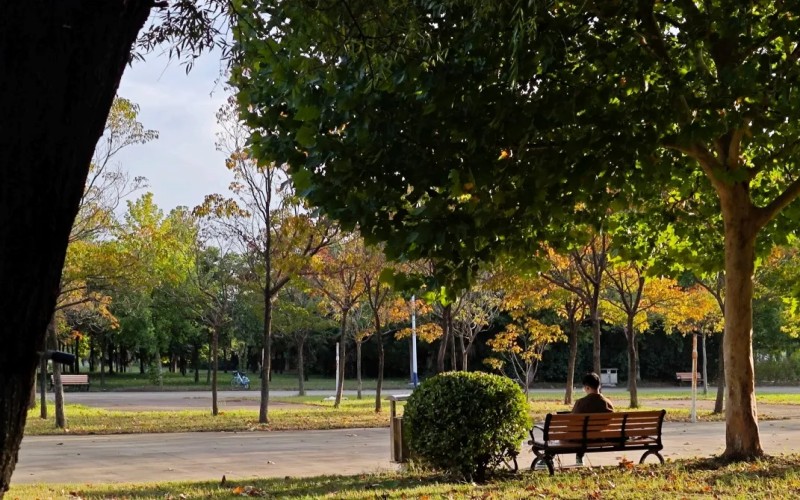 商丘师范学院_校园风光_学校景色