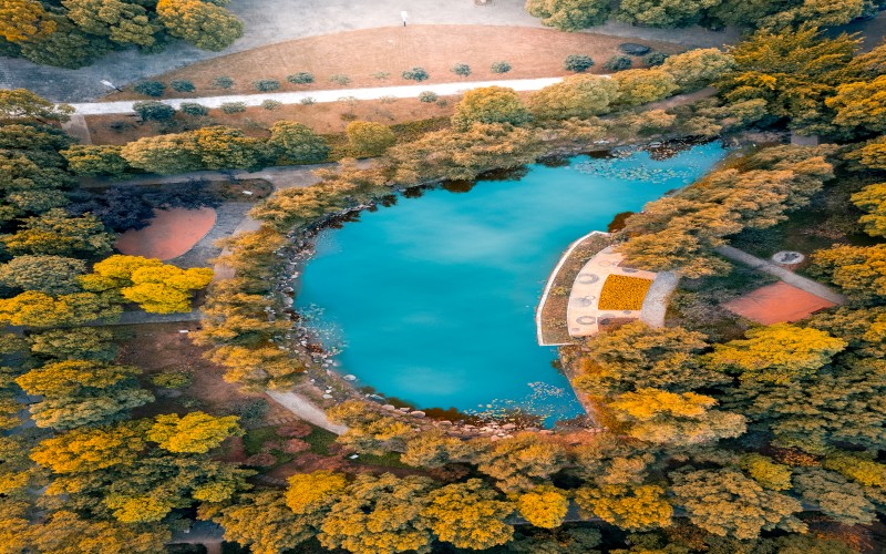 重庆科技大学_校园风光_学校景色