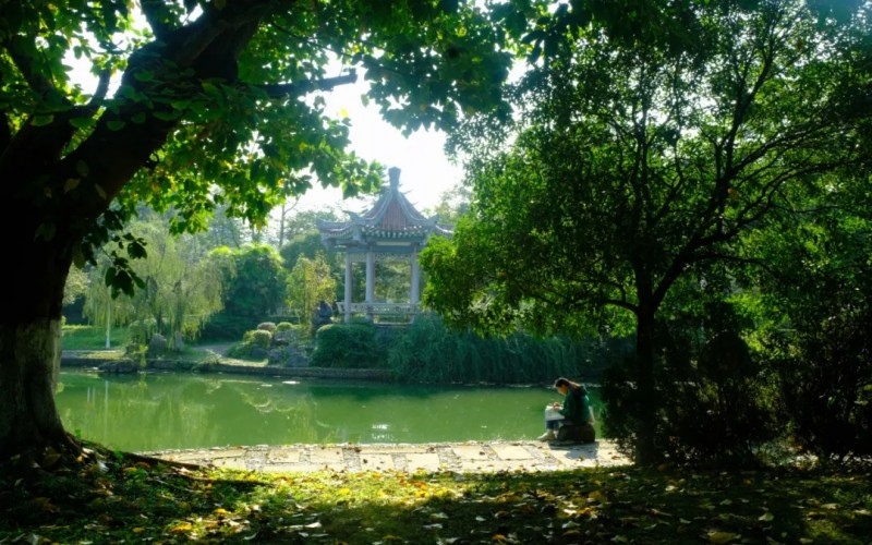 西华师范大学_校园风光_学校景色