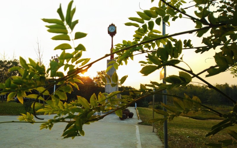 湖北健康职业学院_校园风光_学校景色