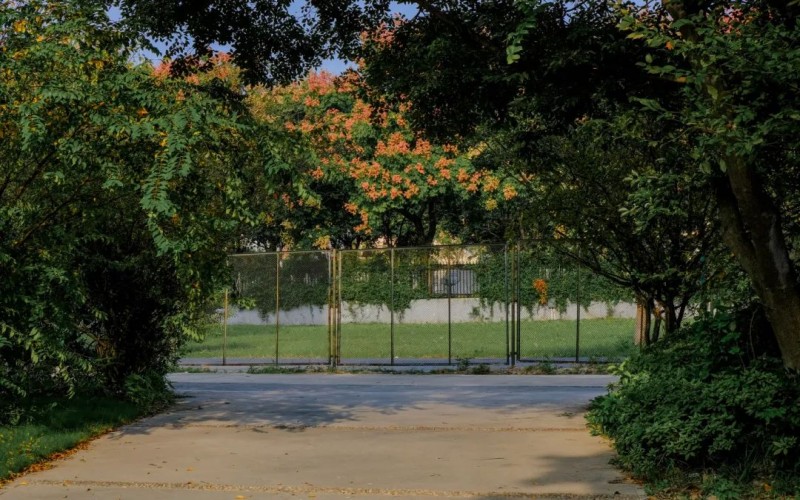 南京师范大学泰州学院_校园风光_学校景色