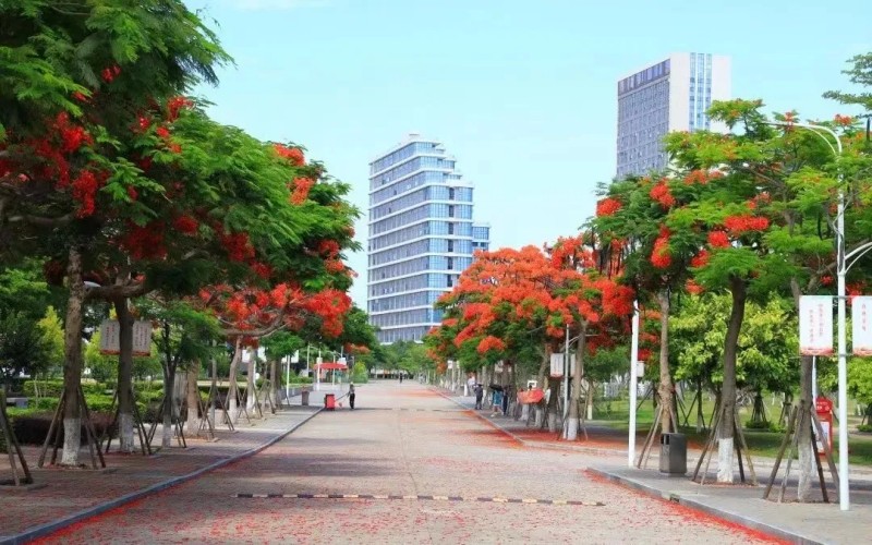 厦门华天涉外职业技术学院_校园风光_学校景色