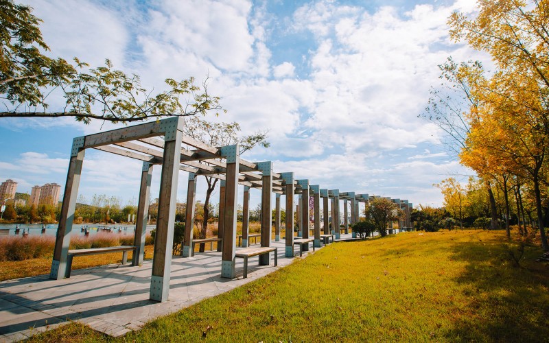 青岛电影学院_校园风光_学校景色