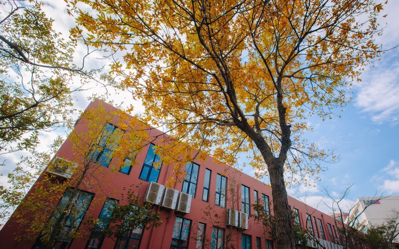 青岛电影学院_校园风光_学校景色